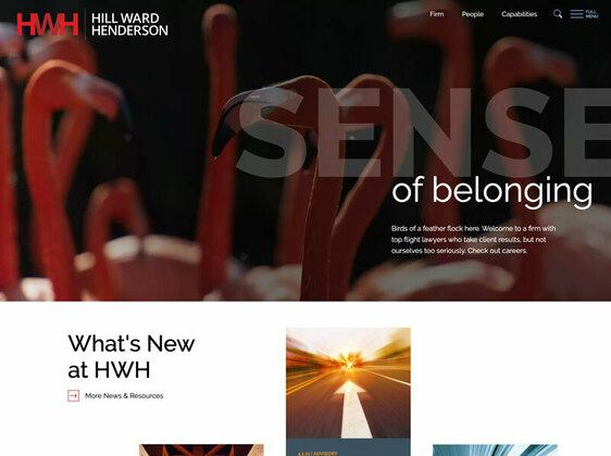 Screenshot of Portfolio